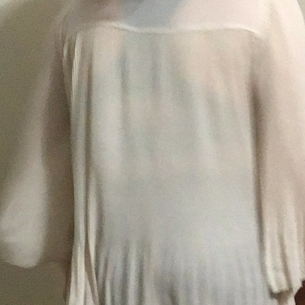 sheer shirt